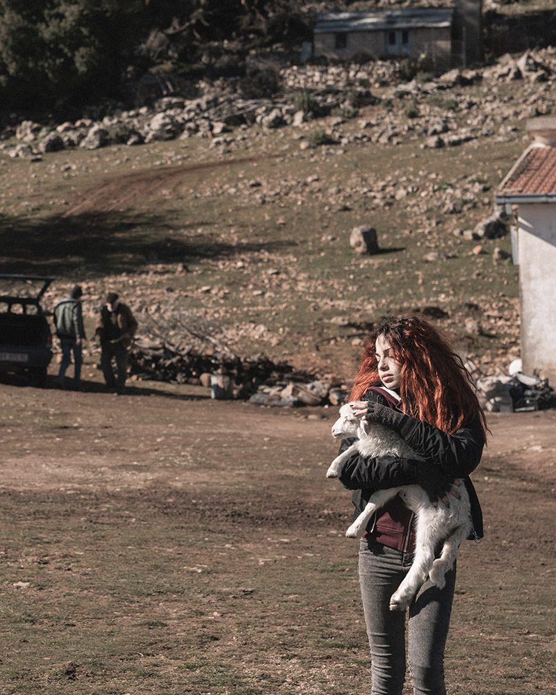 efebo_doro_film_ L_Agnello_2