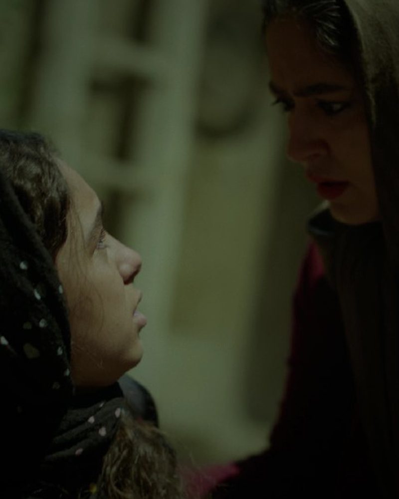 efebo_doro_film_MetamorphosisInSlaughterhouse_2